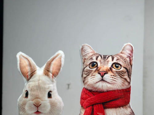 Personalized pet pillow – cat and rabbit sample